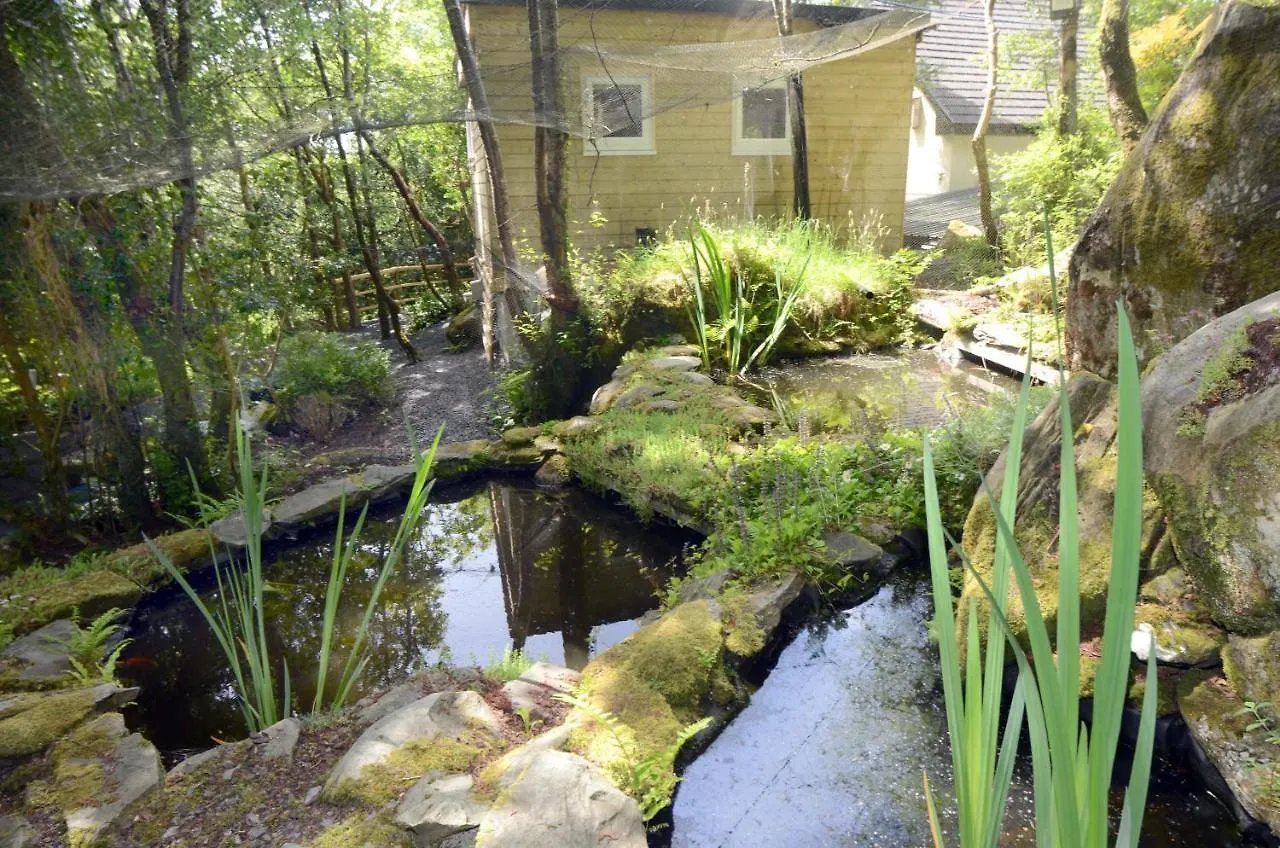 Tawny Lodge Westport