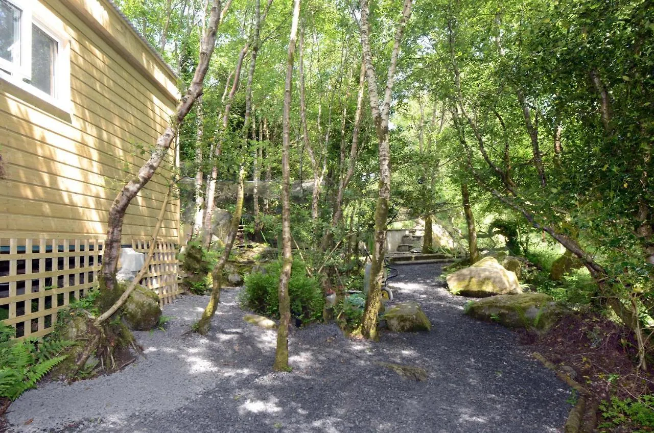 Tawny Lodge Westport 0*,  Ireland